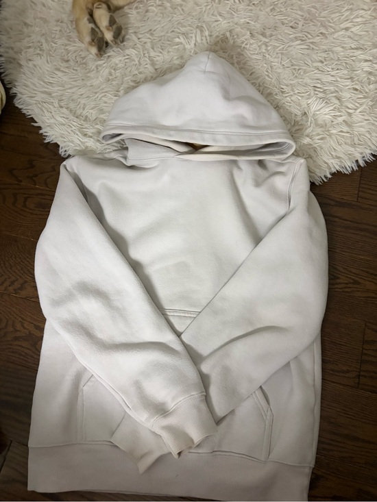 Aritzia Sweaters - Aritzia Off-White Hooded Pullover Sweatshirt